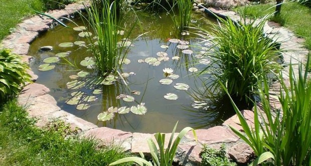 Садовый пруд с фонтаном
